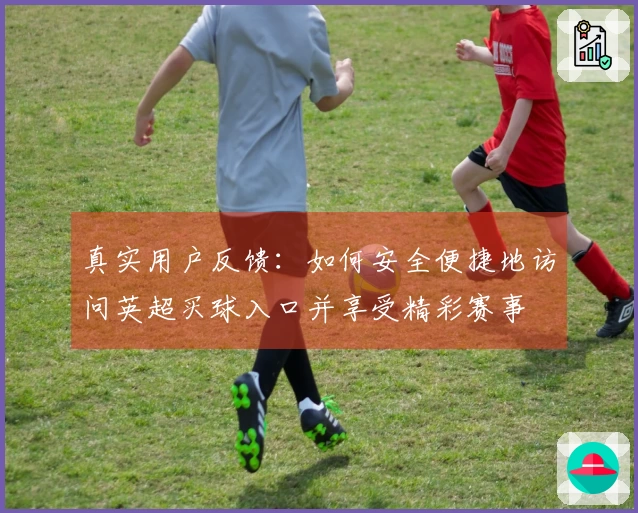 真实用户反馈：如何安全便捷地访问英超买球入口并享受精彩赛事