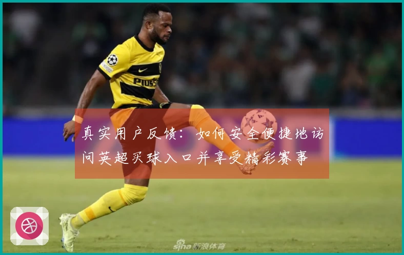 真实用户反馈：如何安全便捷地访问英超买球入口并享受精彩赛事