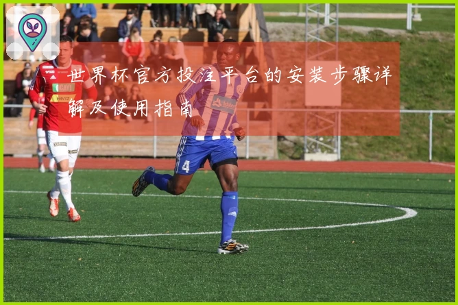 世界杯官方投注平台的安装步骤详解及使用指南