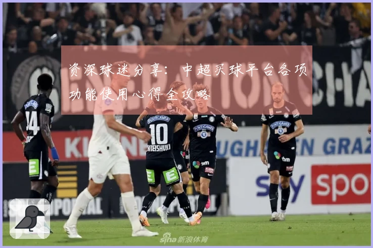 资深球迷分享：中超买球平台各项功能使用心得全攻略